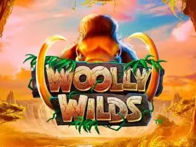 Big Bola Casino Playa del Carmen screenshot